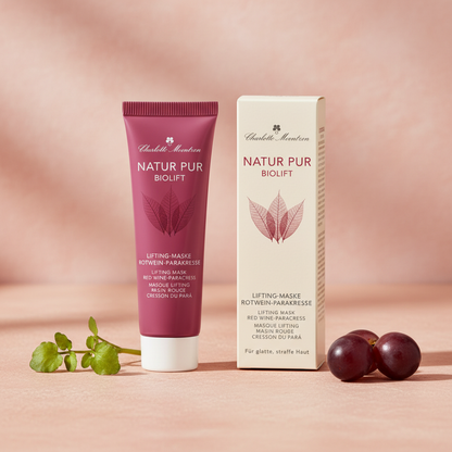 Lifting-Maske corregida